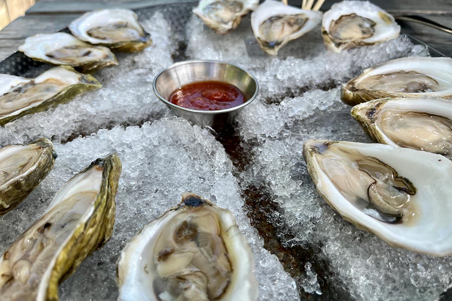Fresh Maine oysters